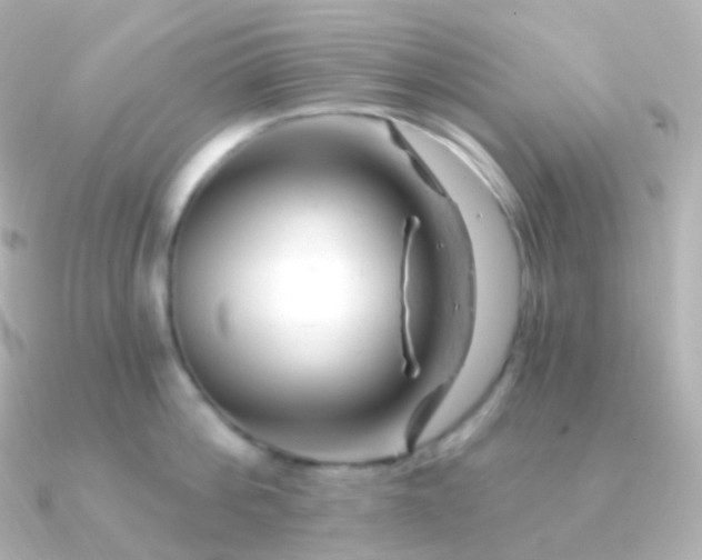 X0000090890812200708101401