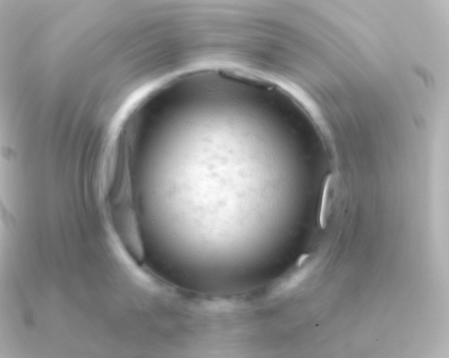 X0000090890815200708101401