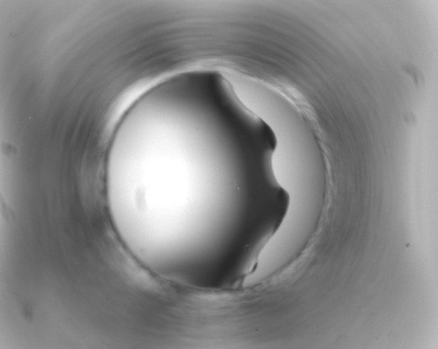 X0000090890816200708101401