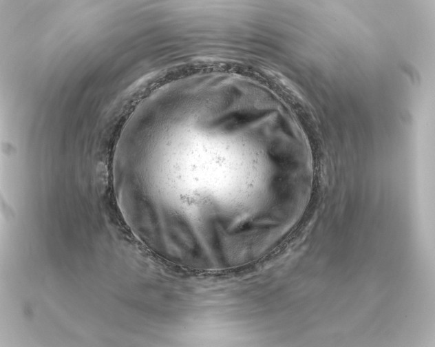 X0000090890821200708101401