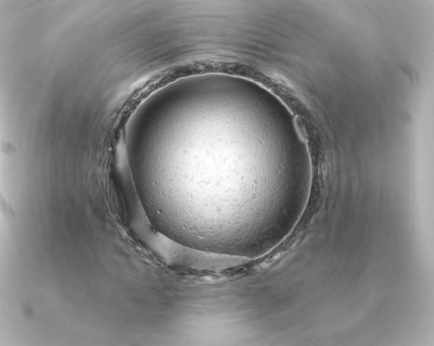 X0000090890822200708101401