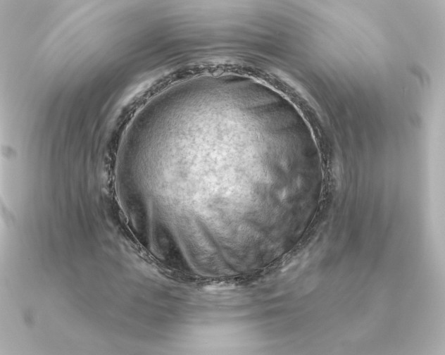 X0000090890823200708101401