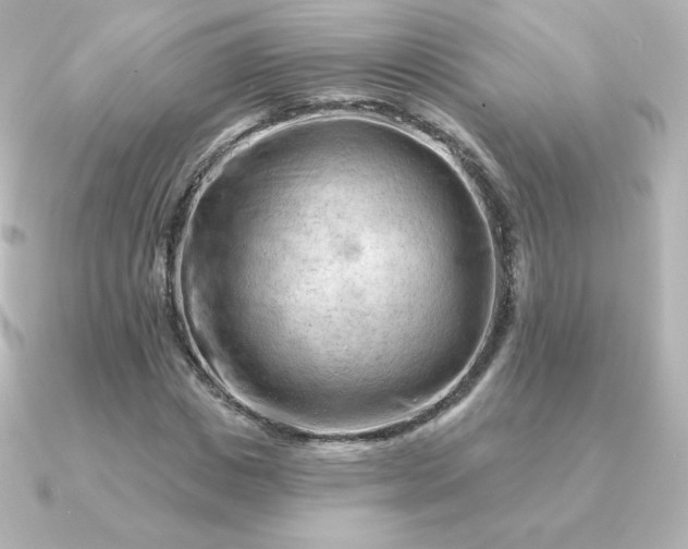 X0000090890825200708101401