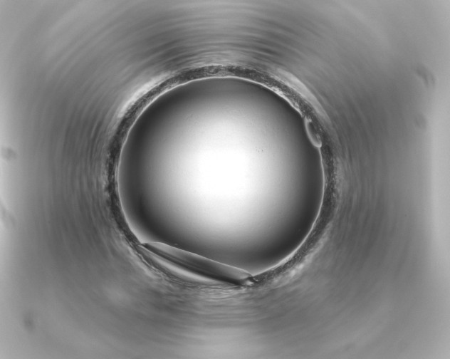 X0000090890826200708101401