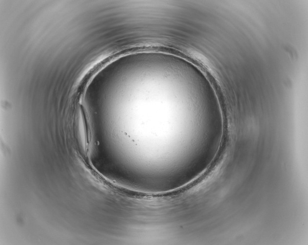 X0000090890827200708101401