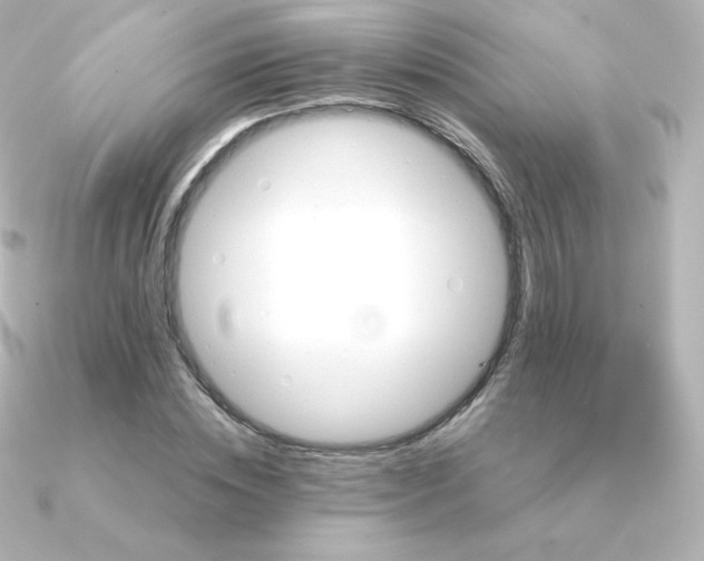 X0000090890828200708101401