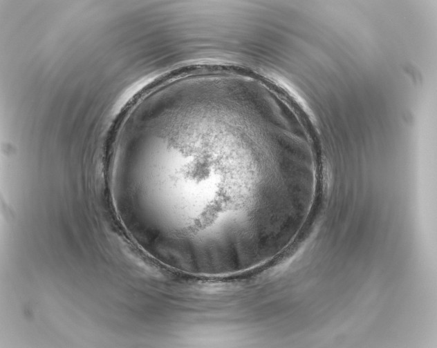 X0000090890829200708101401