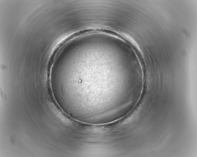 X0000090890831200708101401