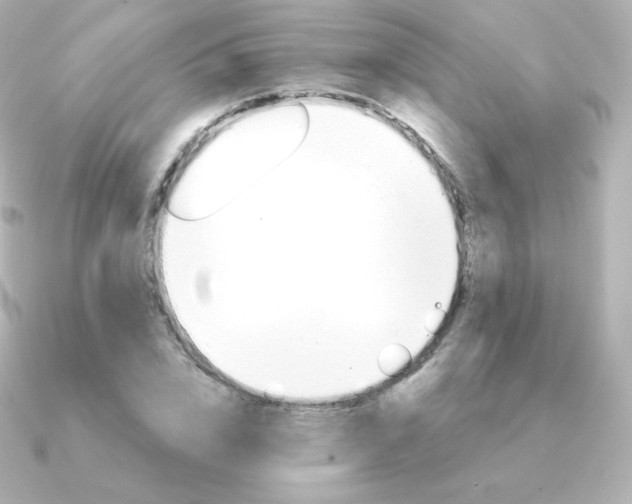 X0000090890832200708101401