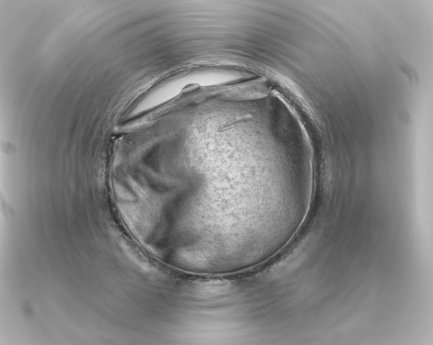 X0000090890833200708101401