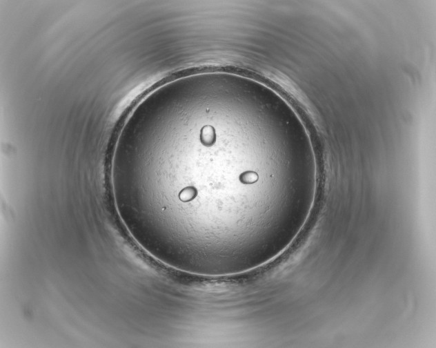 X0000090890834200708101401