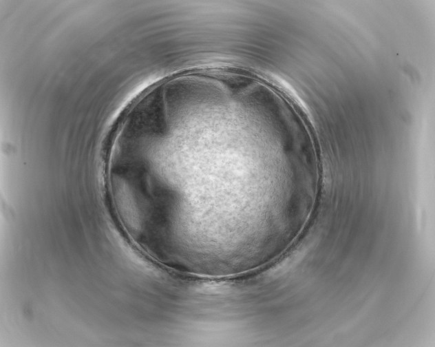 X0000090890835200708101401