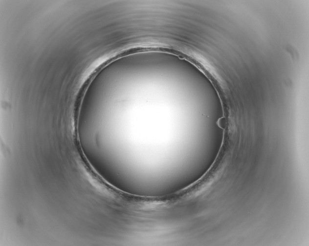 X0000090890837200708101401