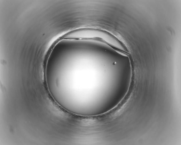 X0000090890838200708101401