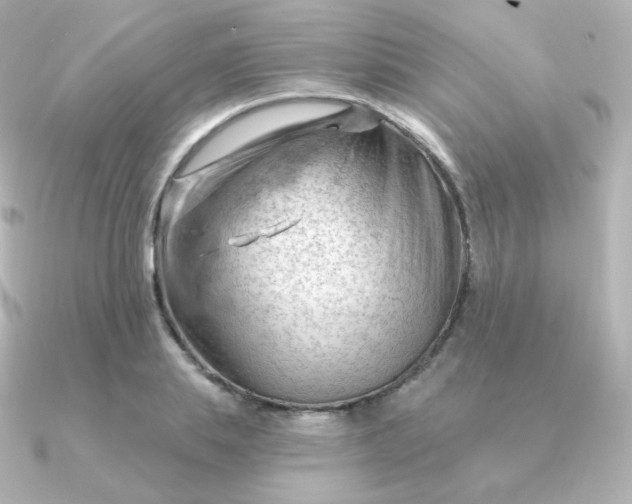 X0000090890839200708101401