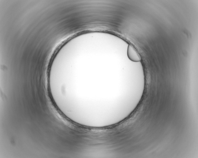 X0000090890840200708101401