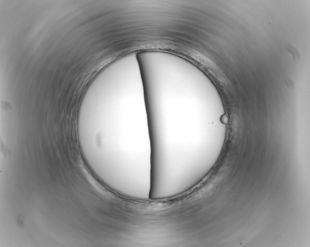 X0000090890841200708101401