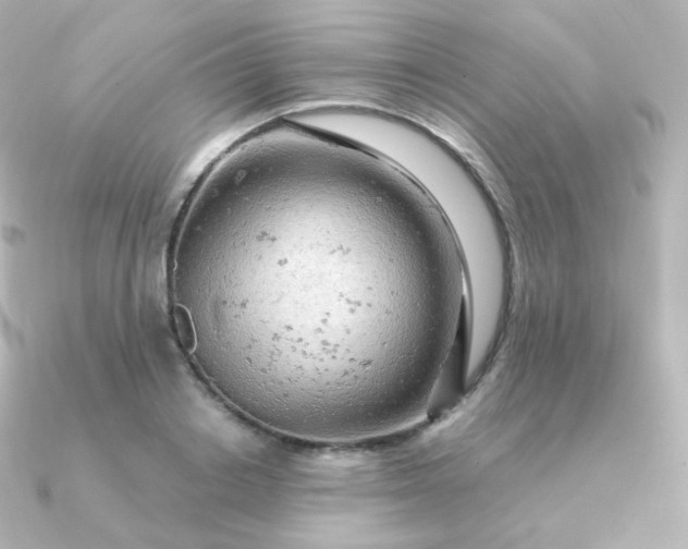 X0000090890842200708101401