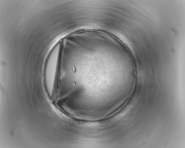 X0000090890845200708101401