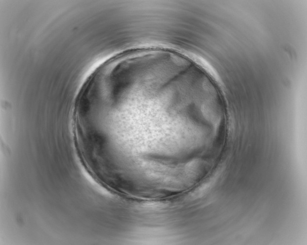 X0000090890847200708101401