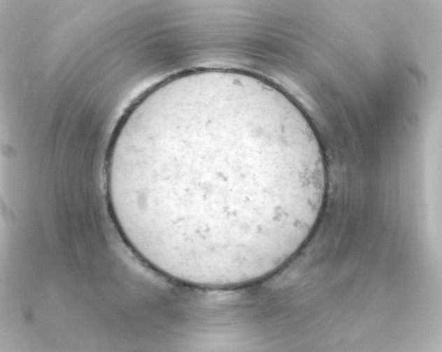 X0000090890848200708101401