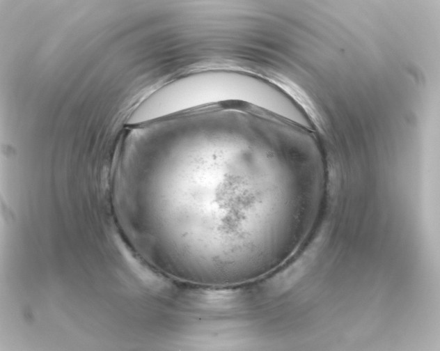 X0000090890849200708101401