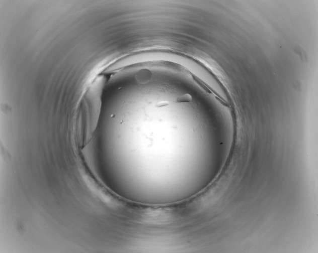 X0000090890850200708101401