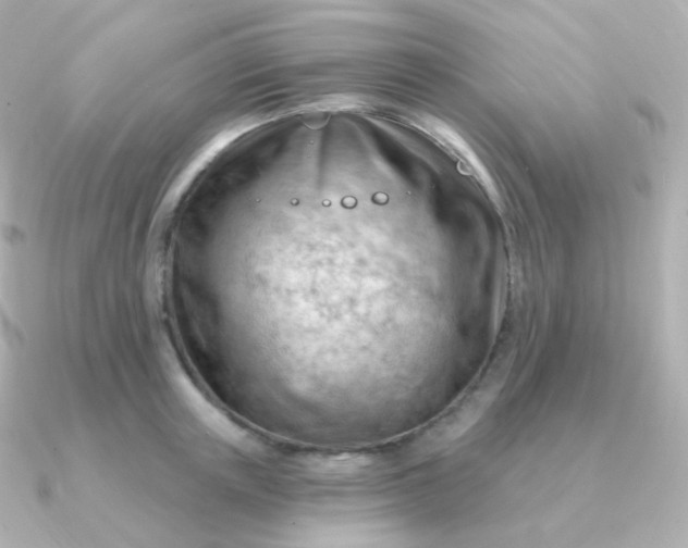 X0000090890851200708101401