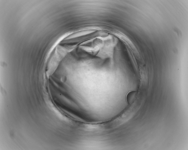 X0000090890852200708101401