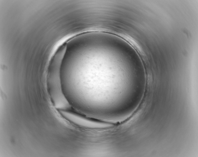 X0000090890854200708101401