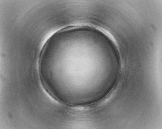 X0000090890855200708101401