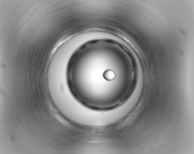 X0000090890858200708101401