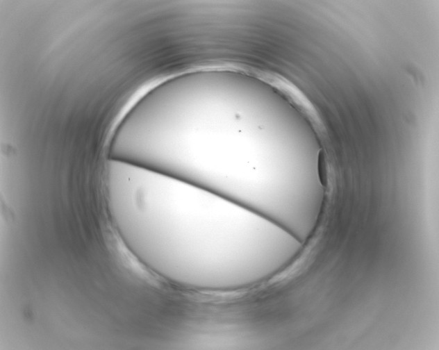 X0000090890860200708101401