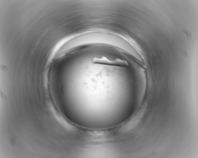 X0000090890862200708101401