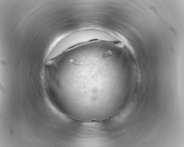 X0000090890863200708101401