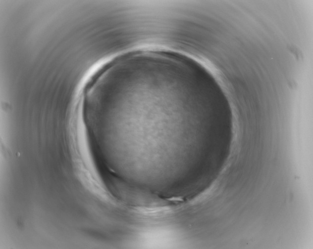 X0000090890864200708101401