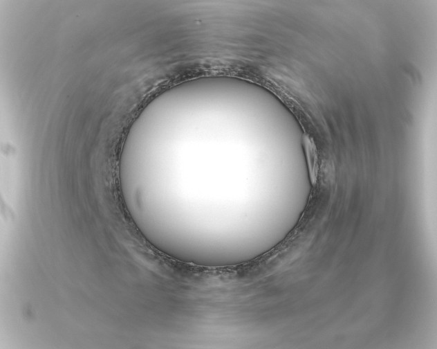 X0000090890865200708101400