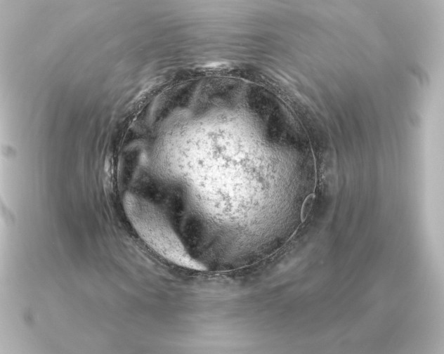 X0000090890866200708101400