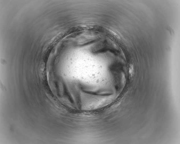 X0000090890867200708101400