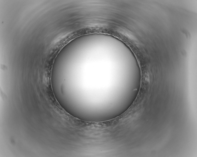 X0000090890869200708101400