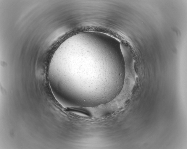 X0000090890872200708101400