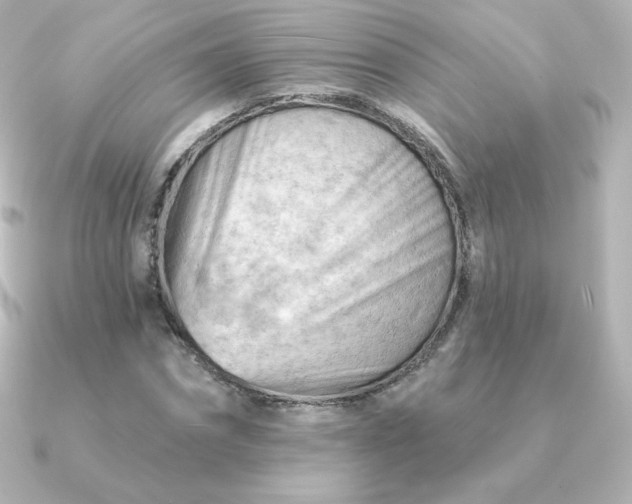 X0000090890874200708101400