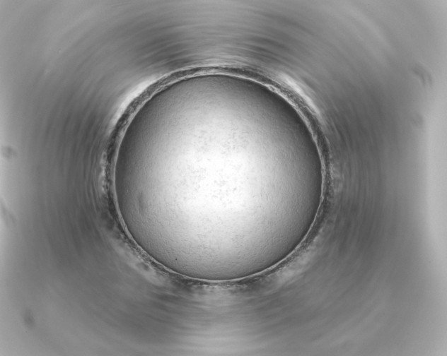 X0000090890875200708101400