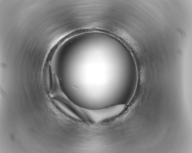 X0000090890876200708101400