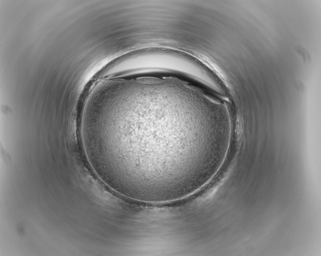 X0000090890877200708101400