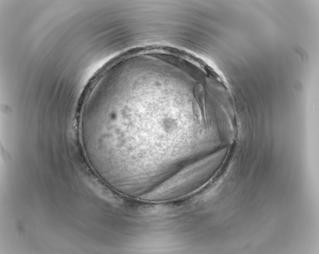 X0000090890879200708101400