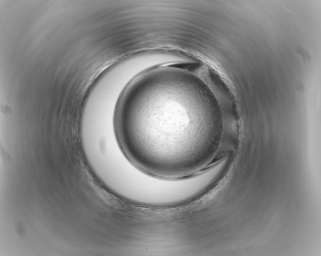 X0000090890881200708101400