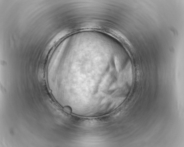 X0000090890882200708101400