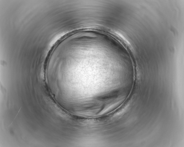 X0000090890883200708101400