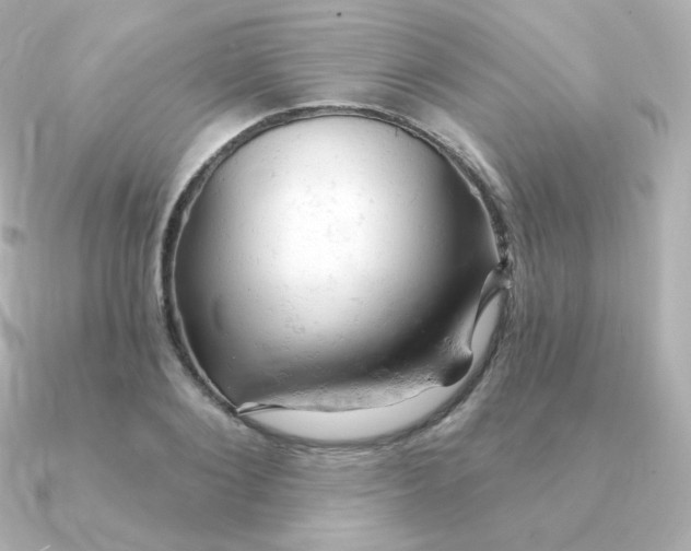 X0000090890884200708101400